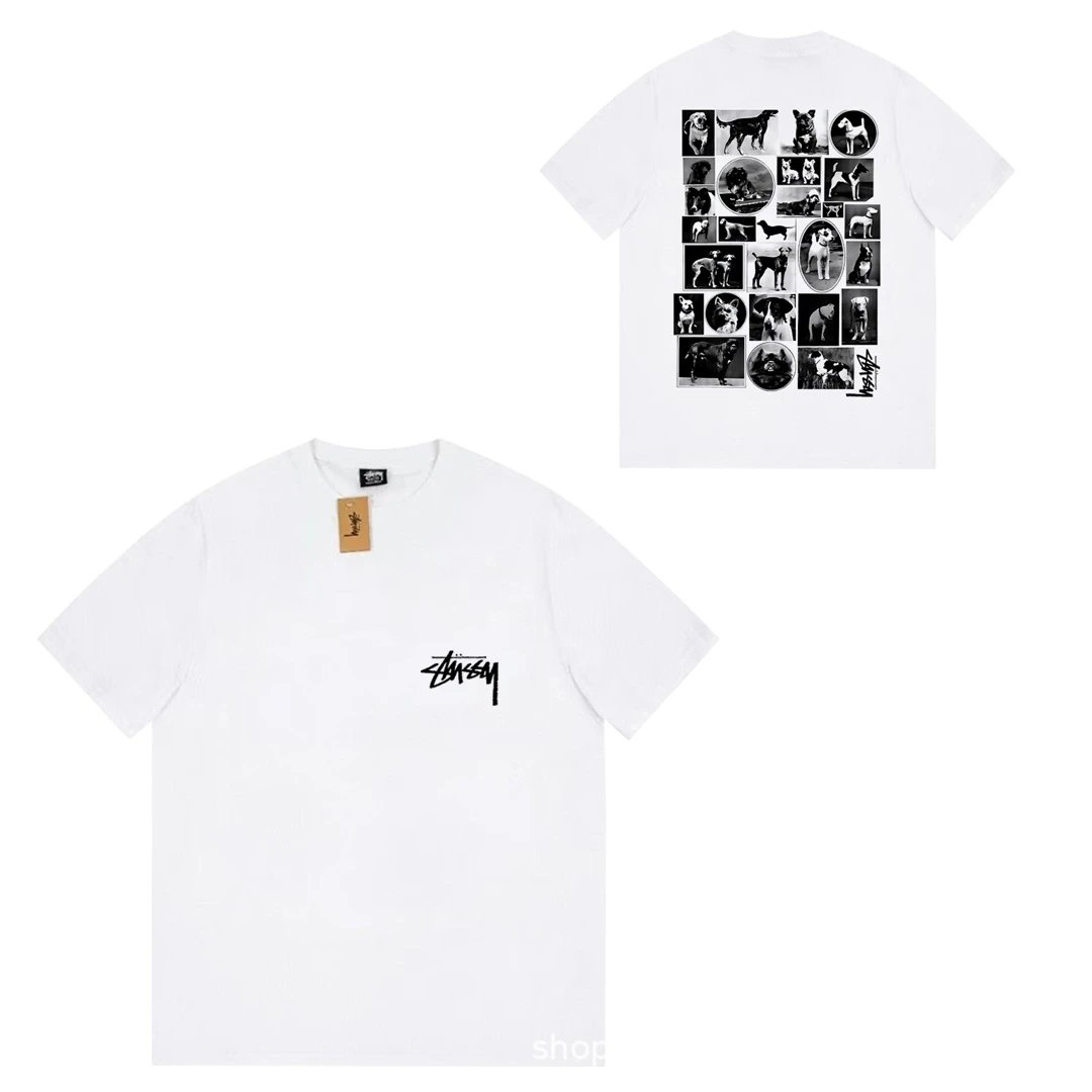 Stüssy T-Shirts Short-Sleeve Logo Graphic T-Shirt — 073 White