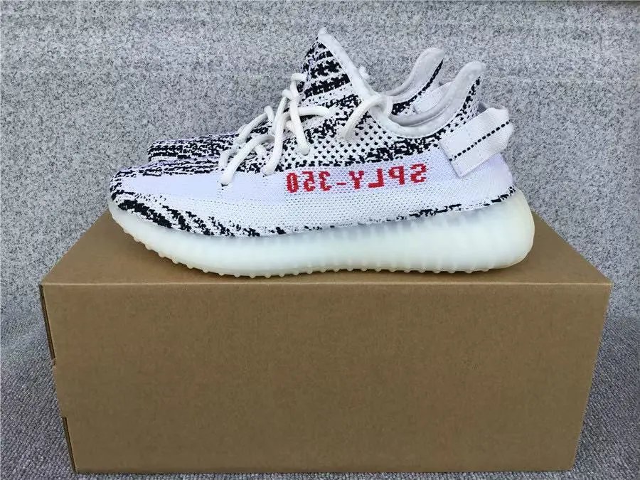 33 White Zebra