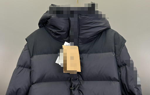 B Detachable sleeve down jacket (white label)