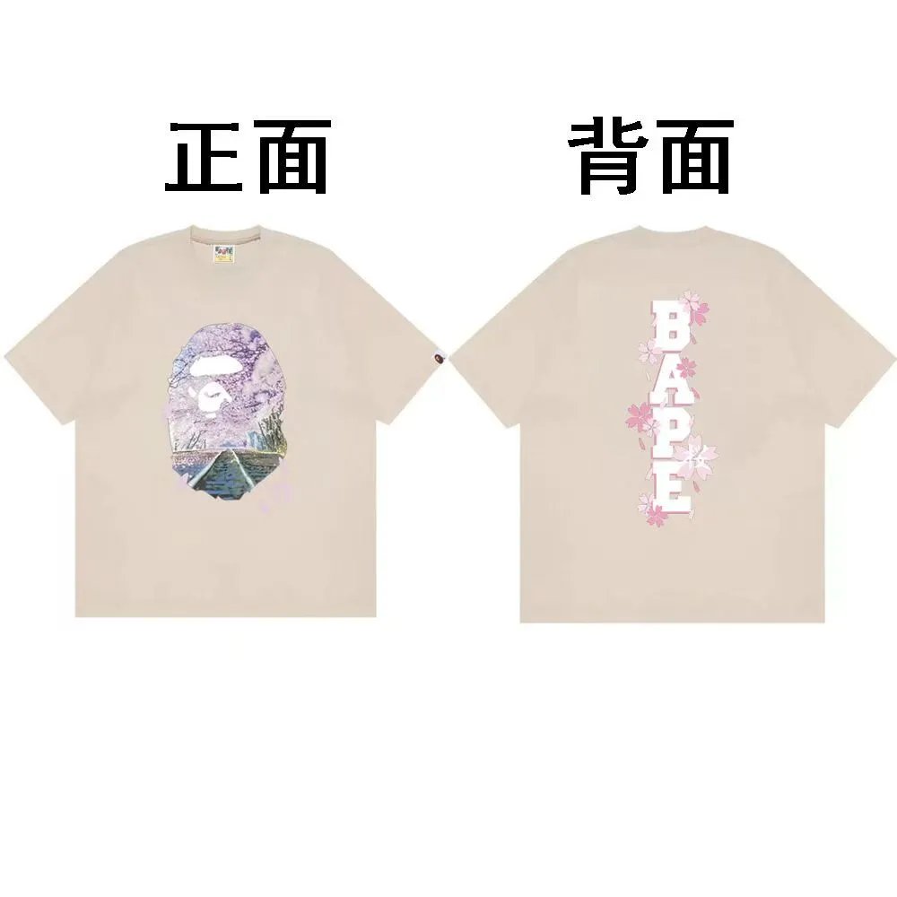 003 Apricot