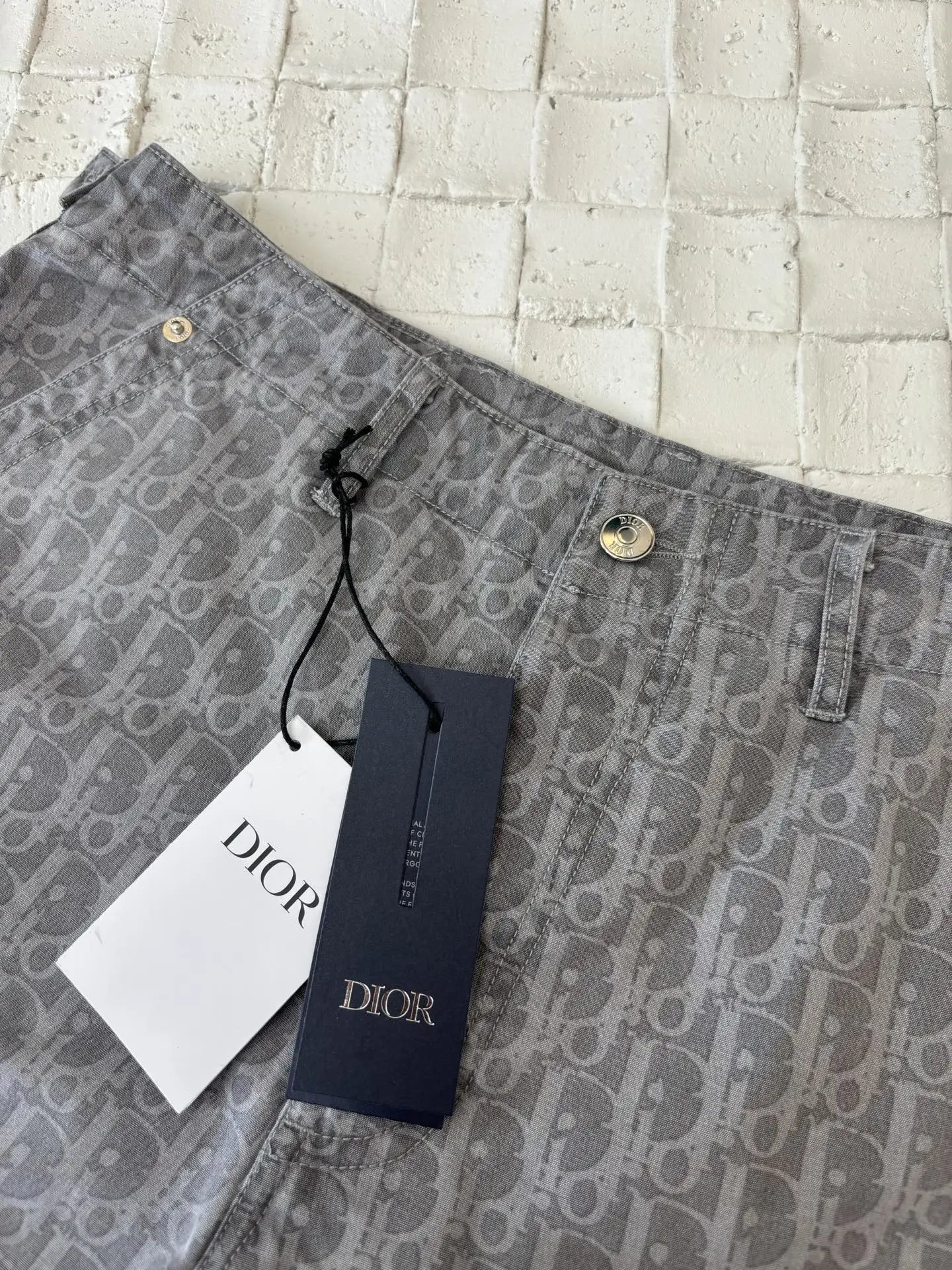 Dior Shorts 3