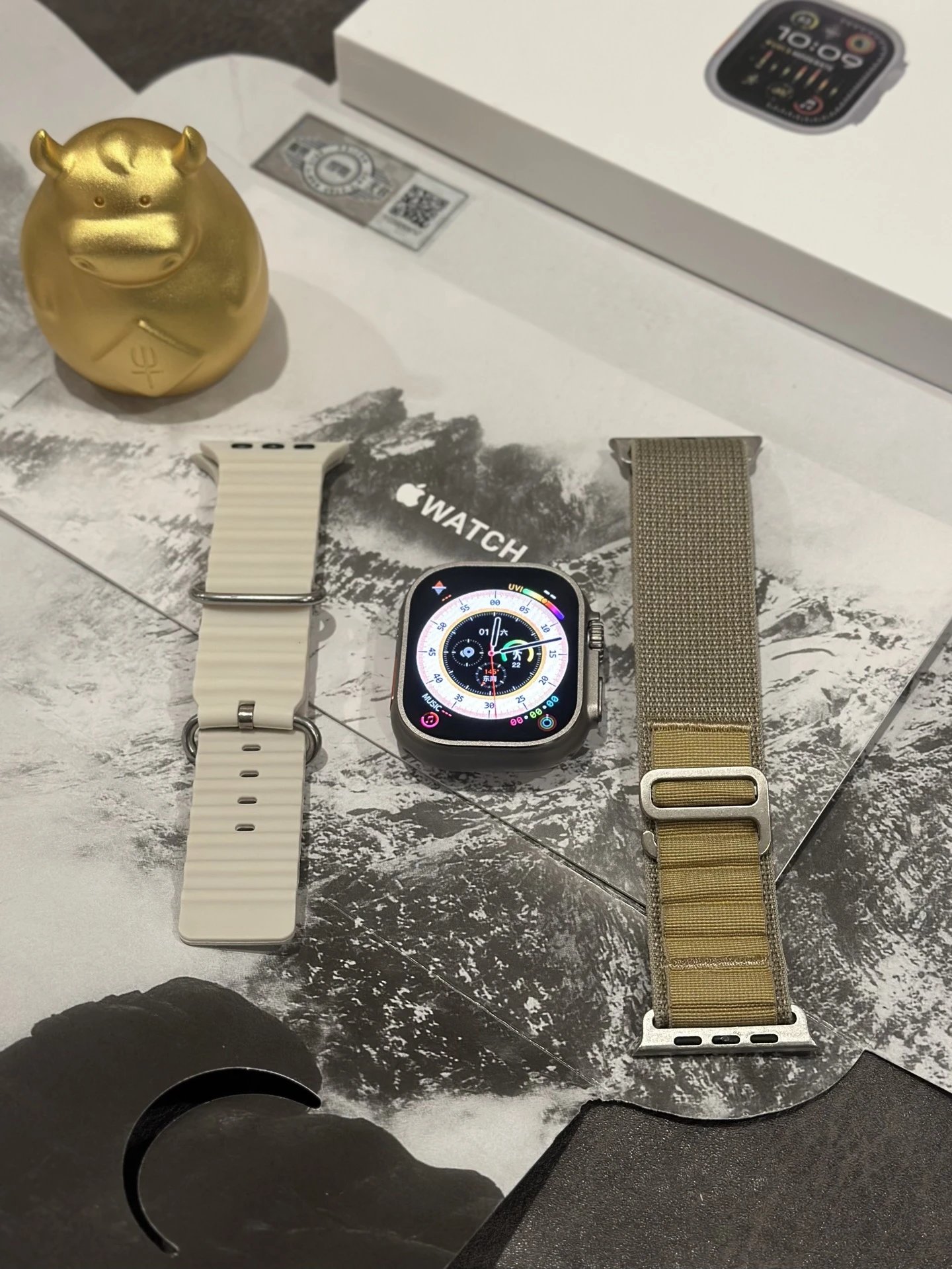18-AppleWatch Ultra2 Silver