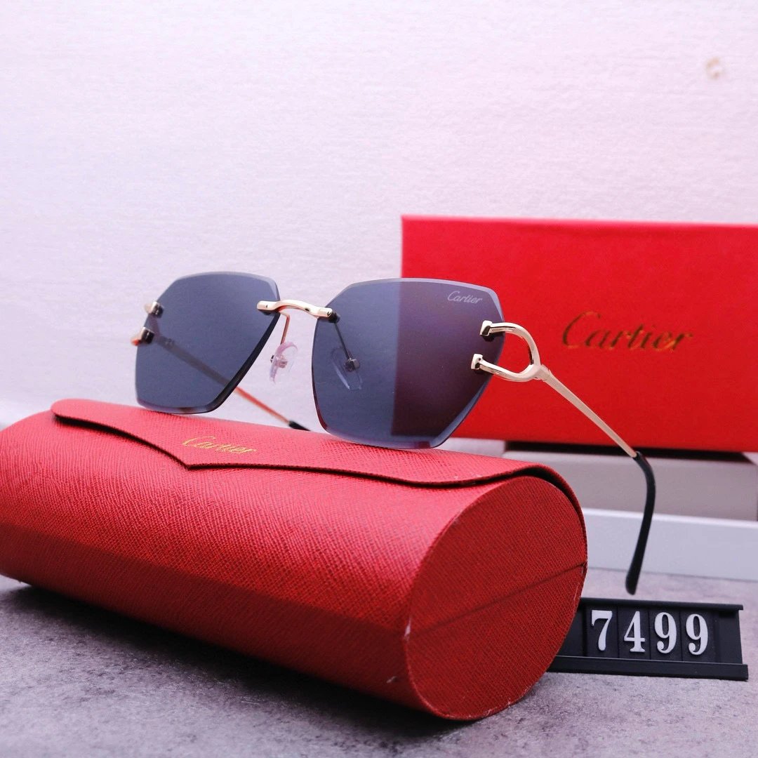Cartier Santos de Cartier Sunglasses Black Gold Frame - 11