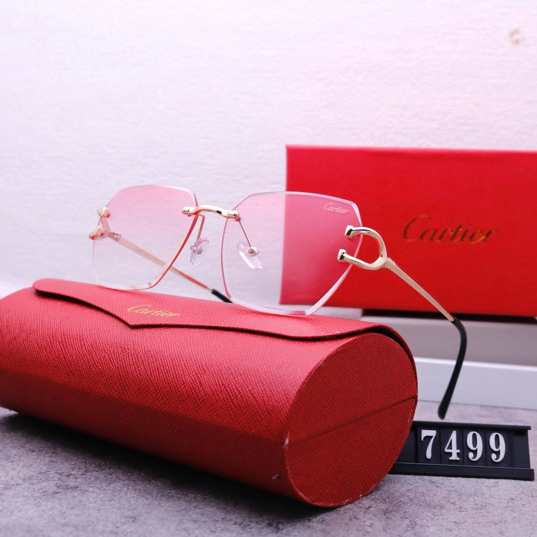 Cartier Santos de Cartier Sunglasses Black Gold Frame - 10