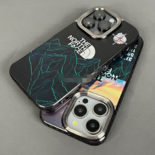 1:1 Batch cell phone case-242