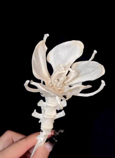 Ornaments-2 – QC photos preview | CnFans  | 7511852067