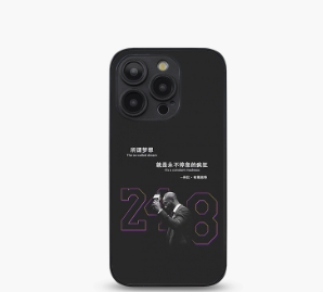 1:1 Batch cell phone case-280