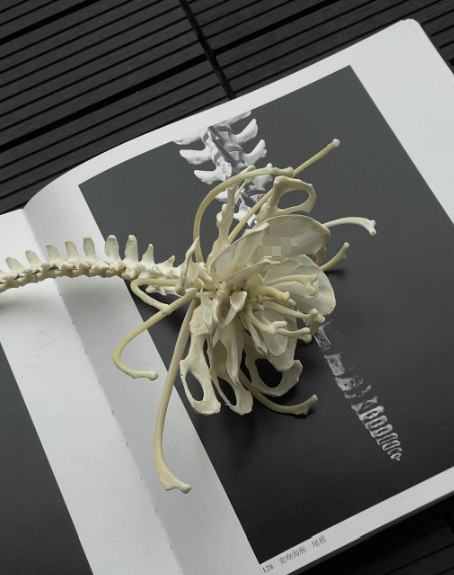 Ornaments-2 – QC photos preview | CnFans  | 7511852067