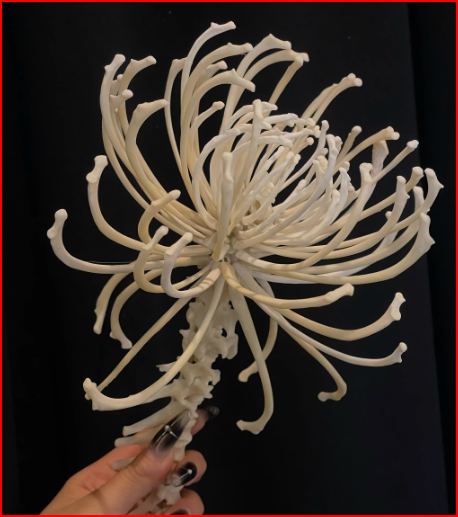 Ornaments-2 – QC photos preview | CnFans  | 7511852067