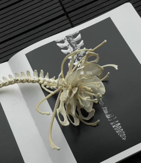 Ornaments-2 – QC photos preview | CnFans  | 7511852067