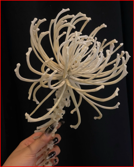 Ornaments-2 – QC photos preview | CnFans  | 7511852067