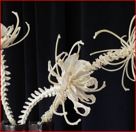 Ornaments-2