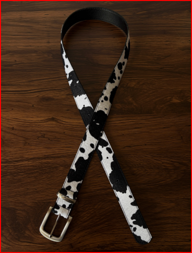 Belt-35