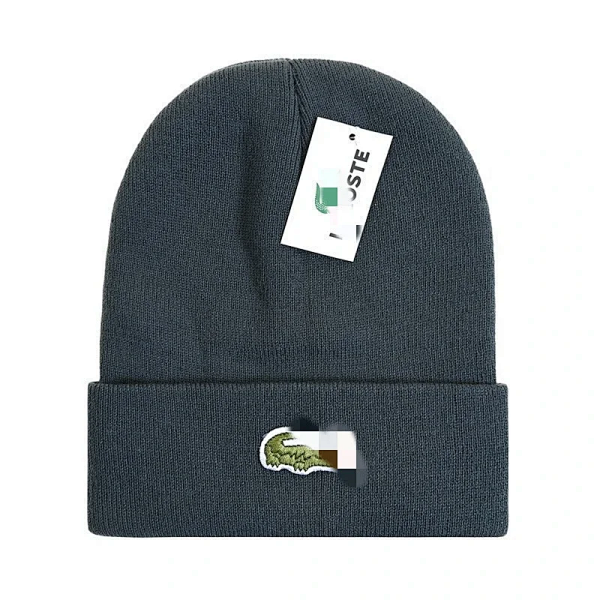 Lacoste Crocodile Embroidered Beanie Charcoal Gray product listing in Litbuy spreadsheet finds