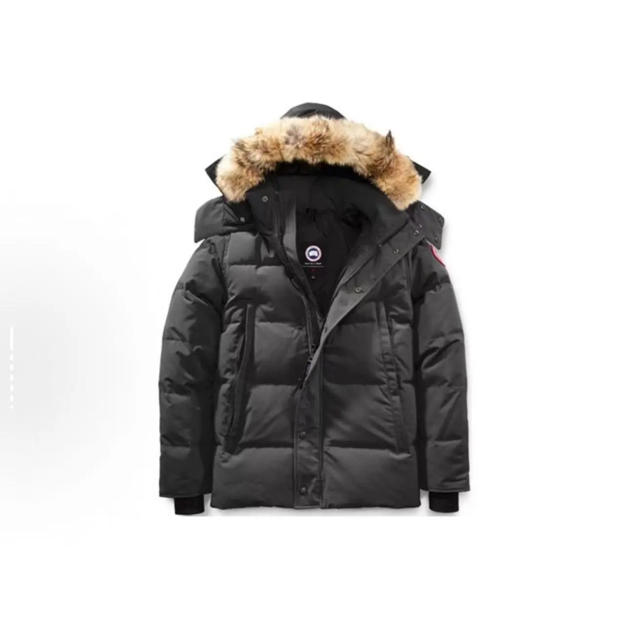 Jin down jacket is the best