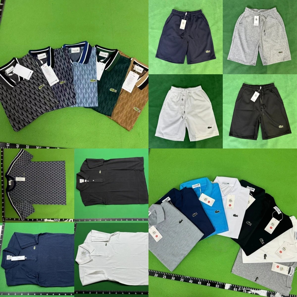 Alligator Fashion Polo T-Shirt Shorts