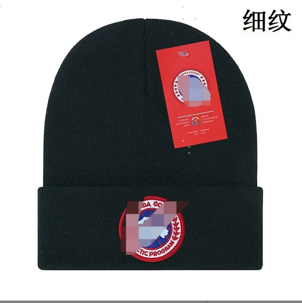 Canada Goose Arctic Program Be