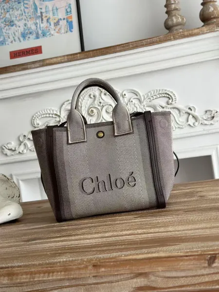 Chloé Mini Woody Tote Gray Canvas Handbag - 1