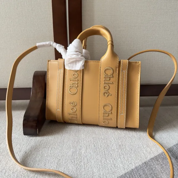 Chloé Woody Mini Bag Beige Leather Handbag - 1