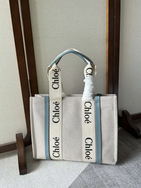 Chloé Faye Mini Mint Green Leather Handbag with Braided Straps and Tassels - 11