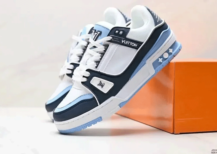 Louis vuitton LV Trainer Footp