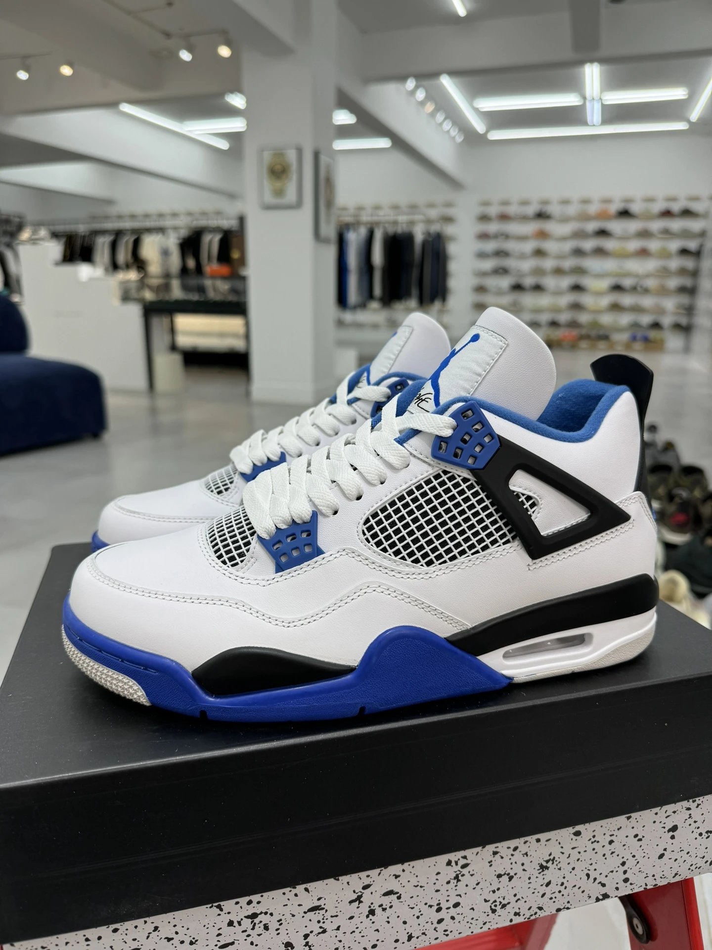 308497-117 Racing Blue 36-47.5
