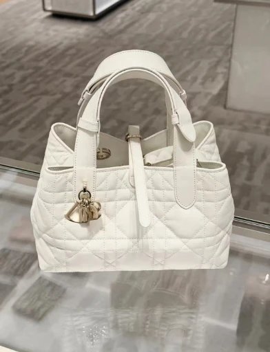 Dior Handbags Toujours quilted handbag — Horizontal white (original logo)
