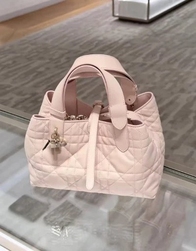 Dior Handbags Toujours quilted handbag — Horizontal Pink (Original logo)