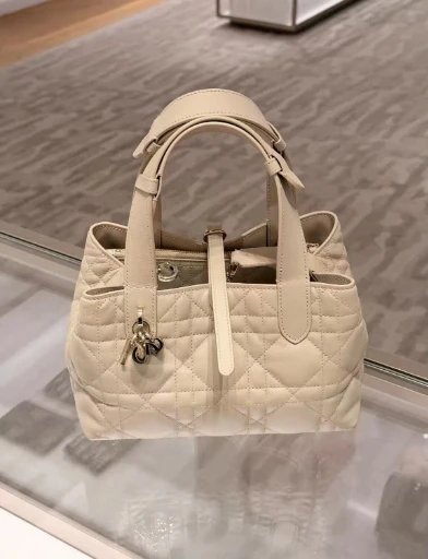 Dior Handbags Toujours quilted handbag — Horizontal milk tea color (original logo)