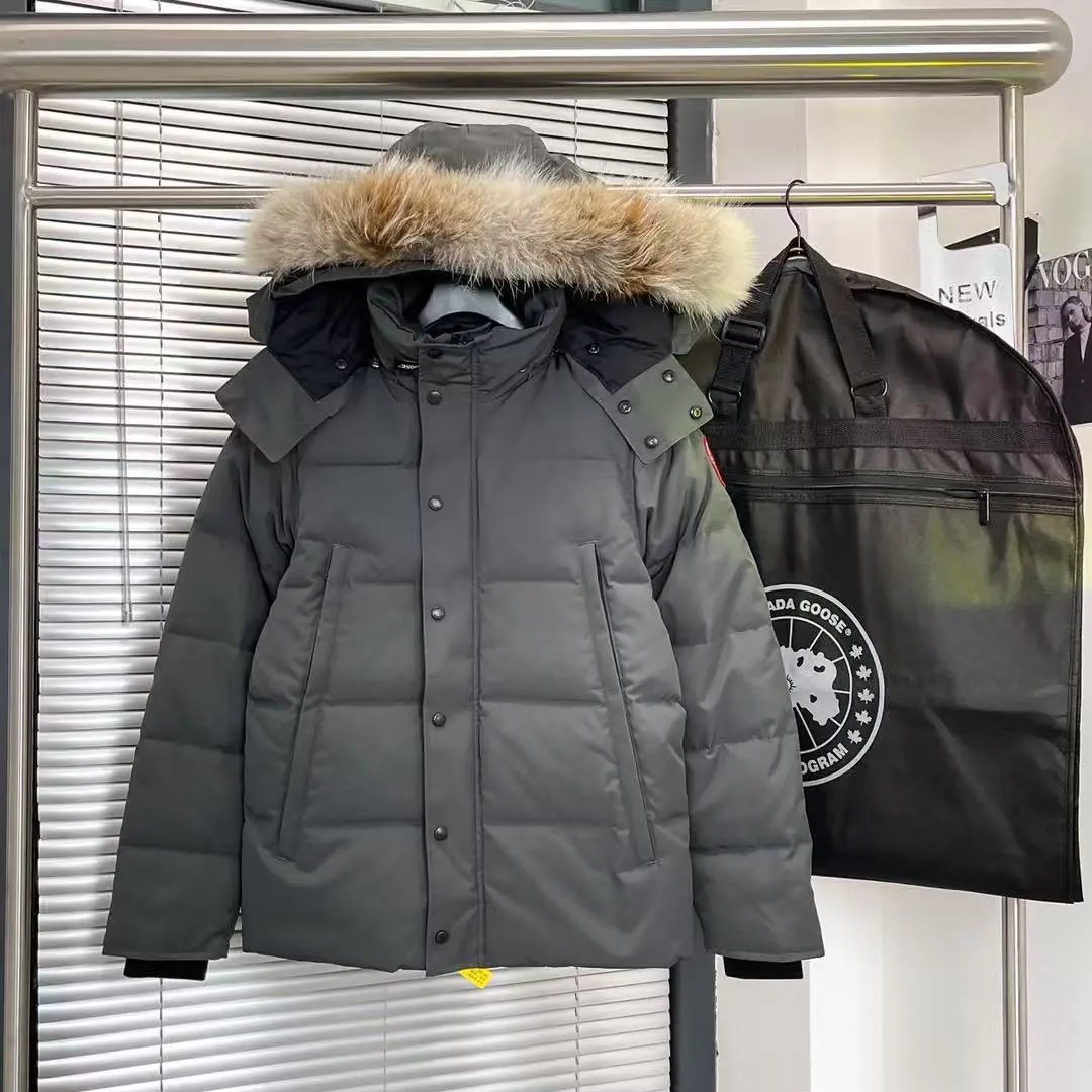 C-Hooded White Duck Down Jacket-andy