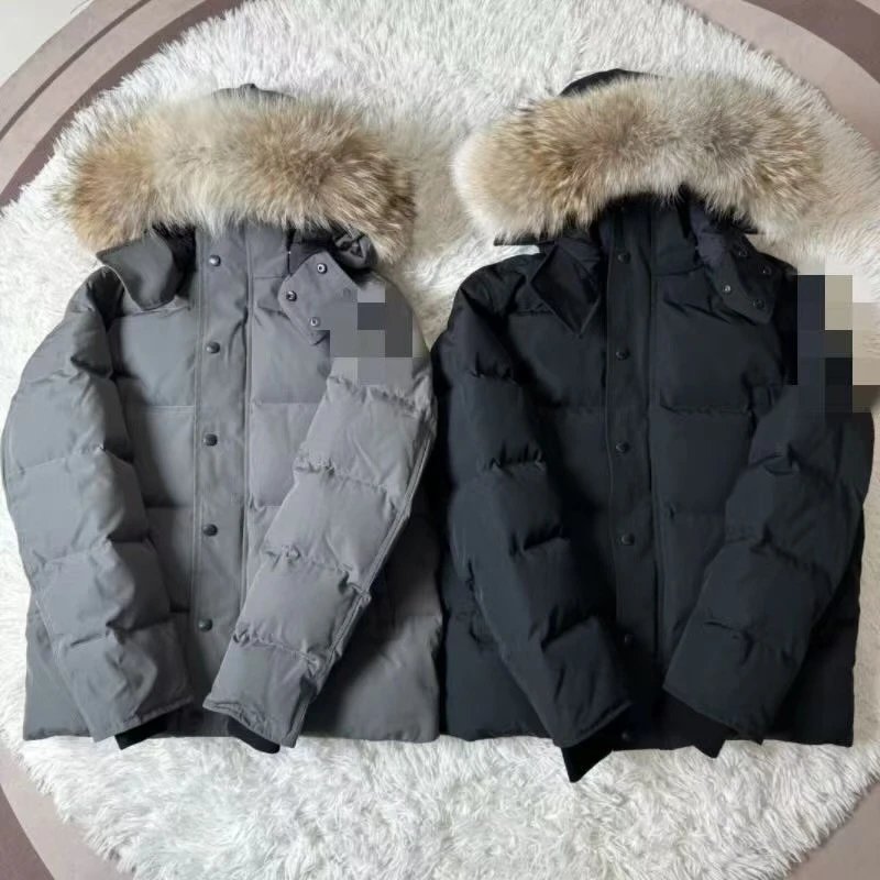 高质量大鹅羽绒服