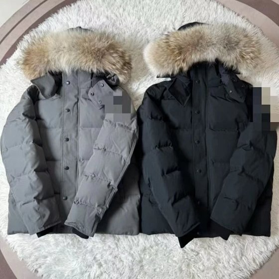 Trendy Fashion Clothing -600