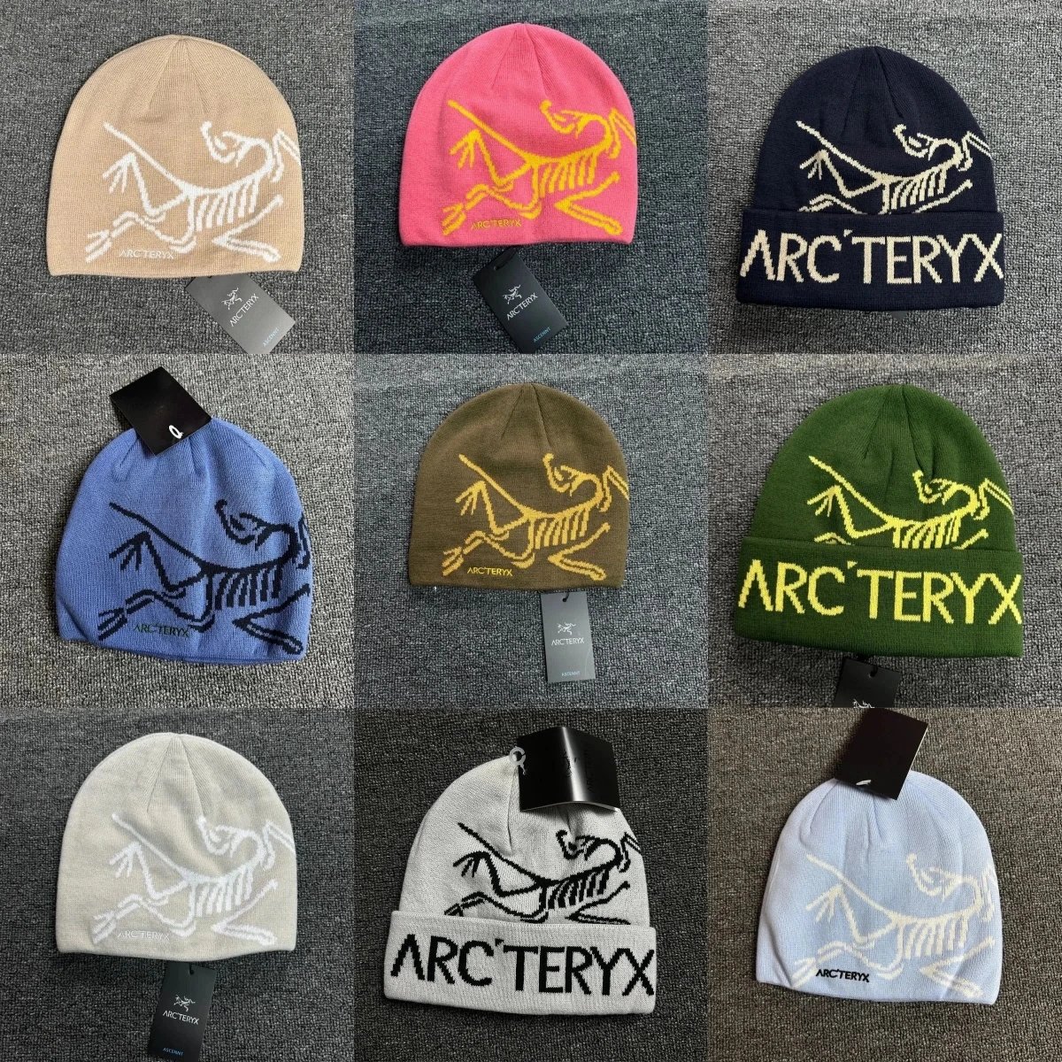 Arc'teryx Bird Logo Beanie [23