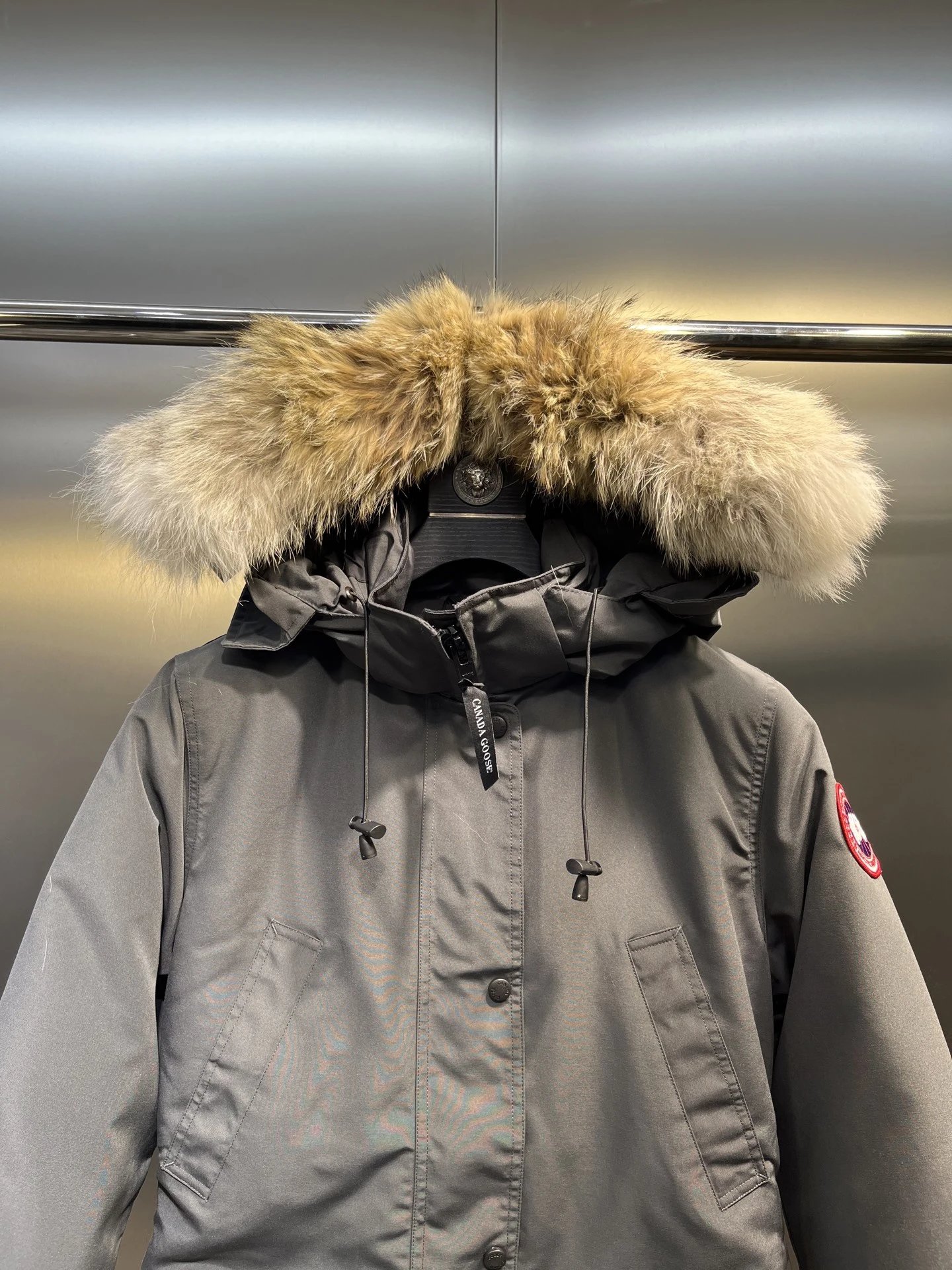 Canada Goose 3