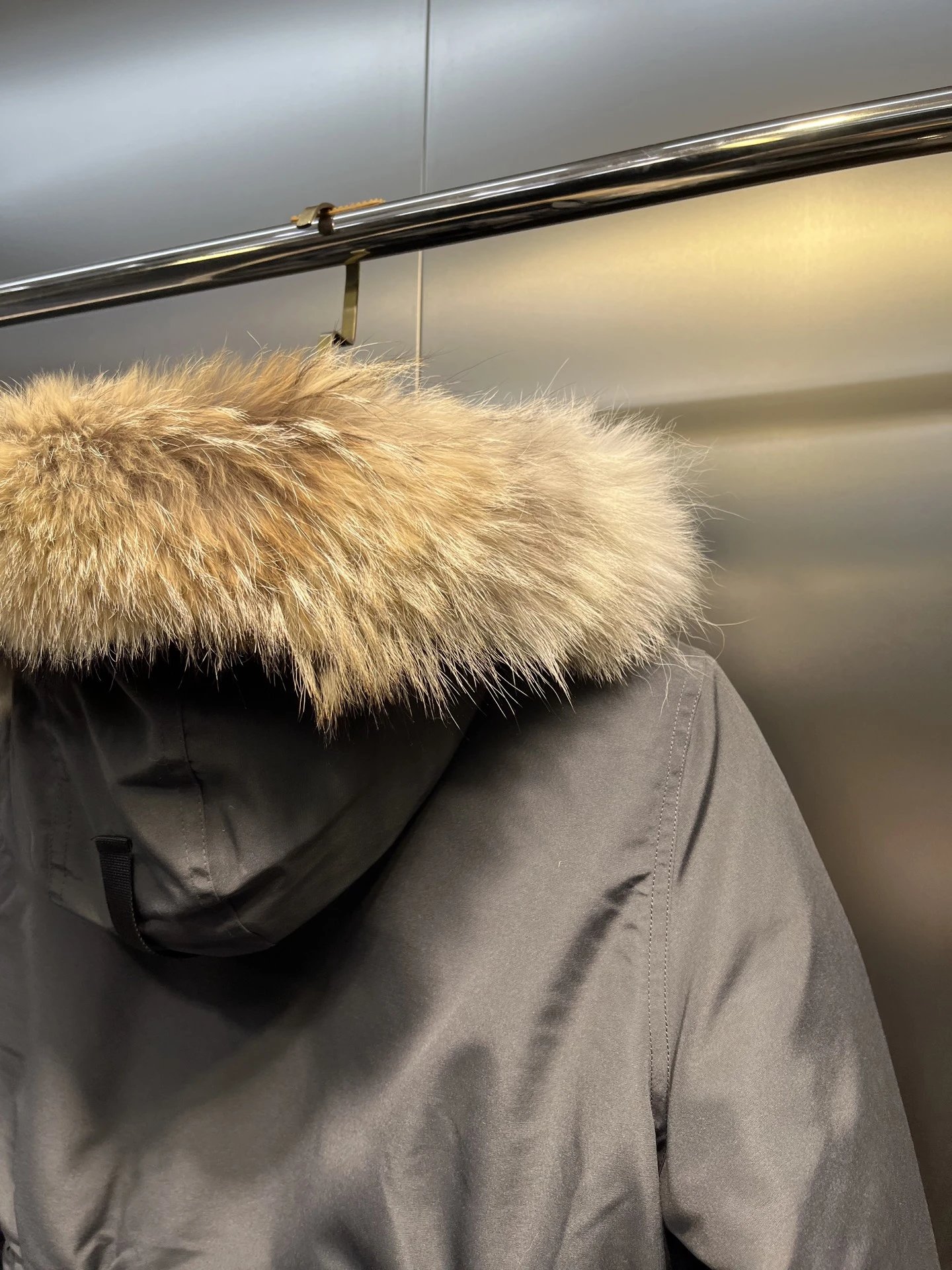 Canada Goose 7