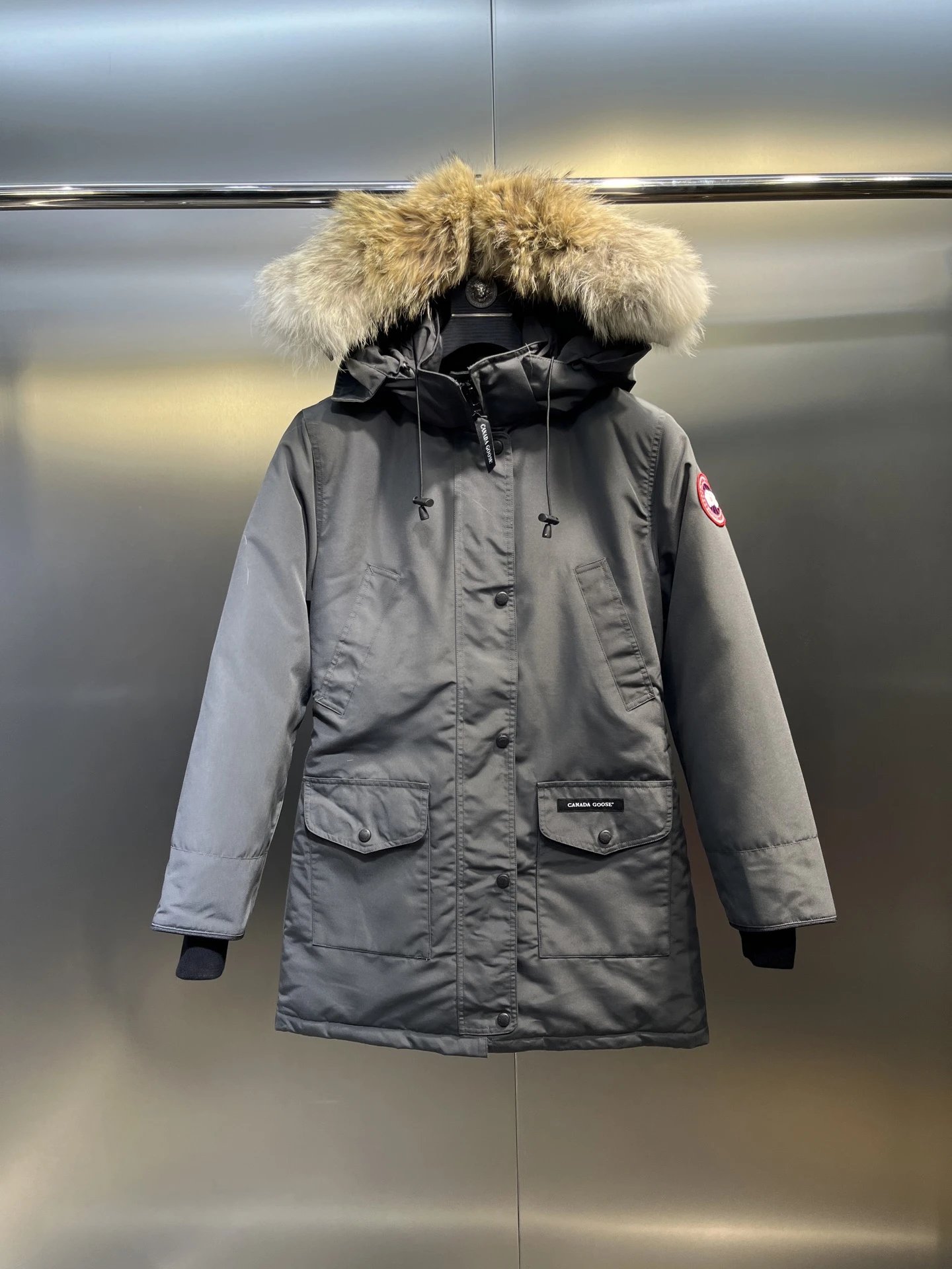 Canada Goose 1
