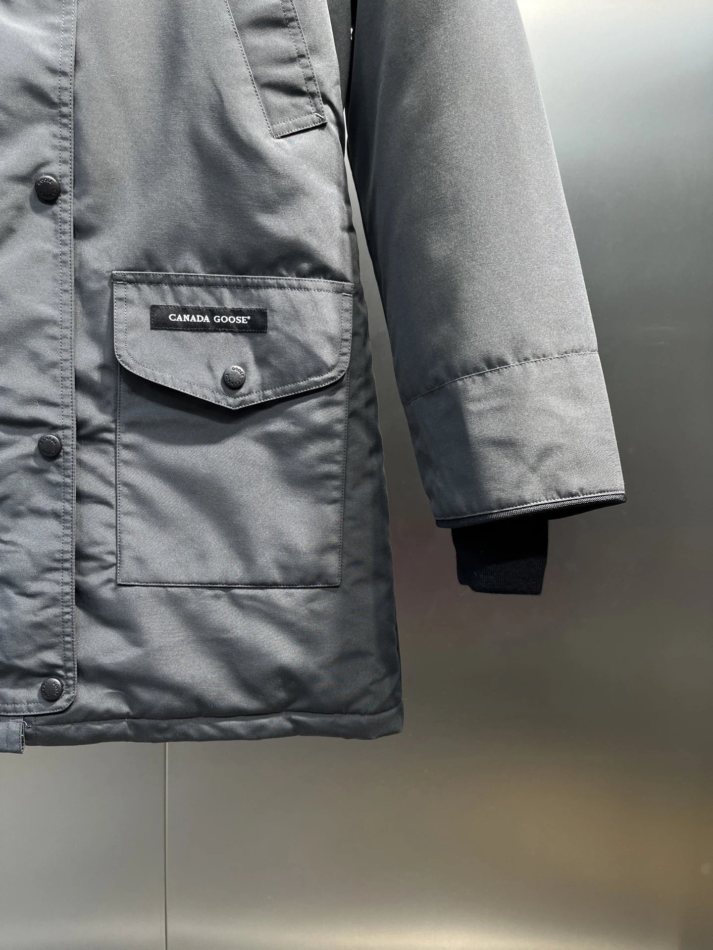 Canada Goose 5