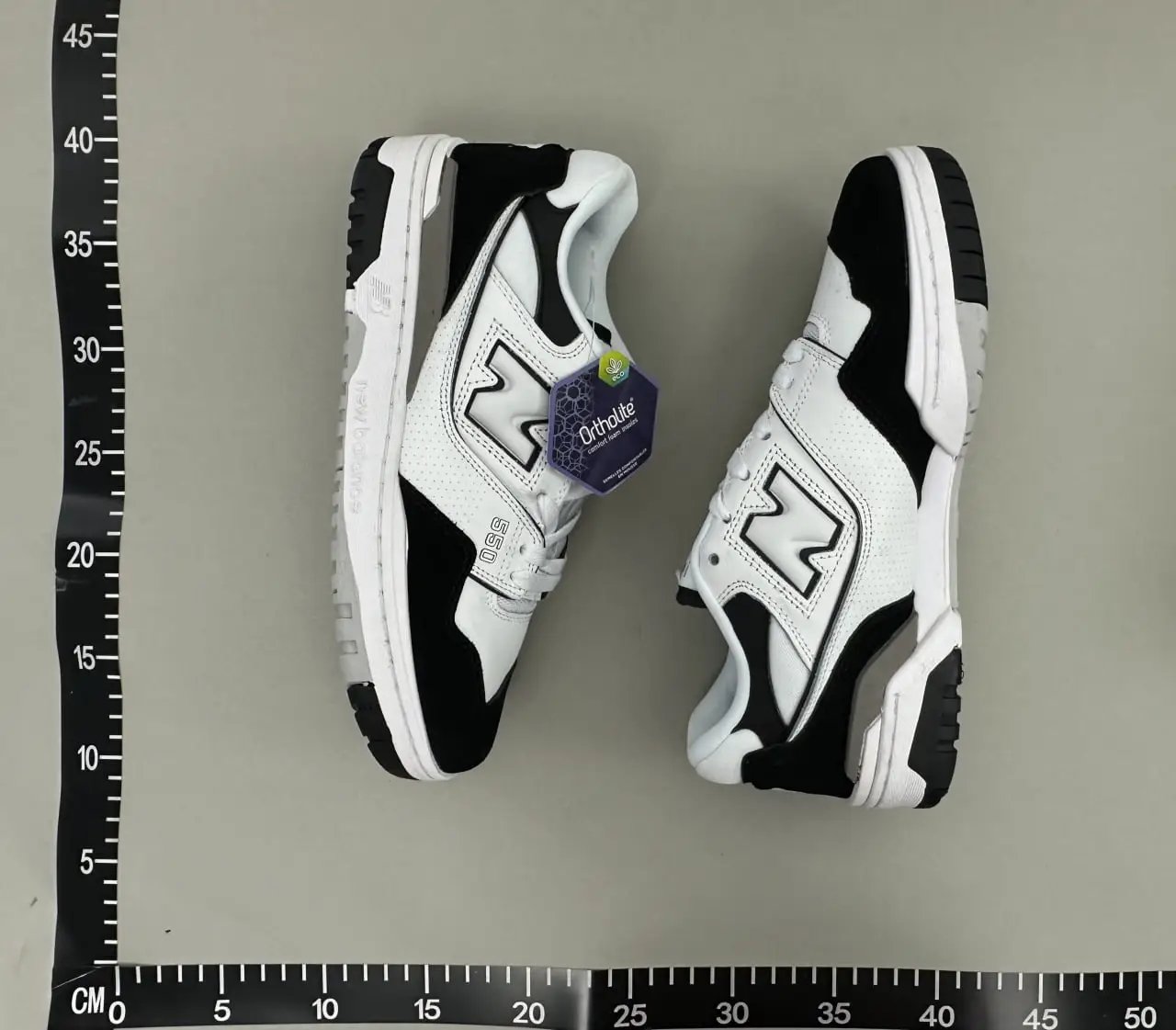 550 Purple 002