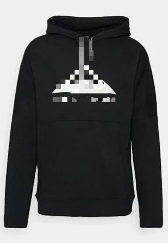 Hoodie (Check Yupoo Before Purchase - No Returns or Exchanges Unless Quality Issue)
