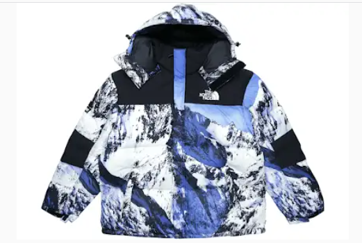 The North Face Street Puffer Jacket Blue