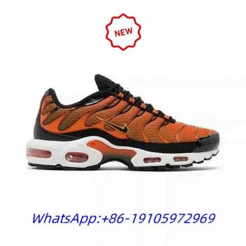 Nike Air Max Plus TN Shoes