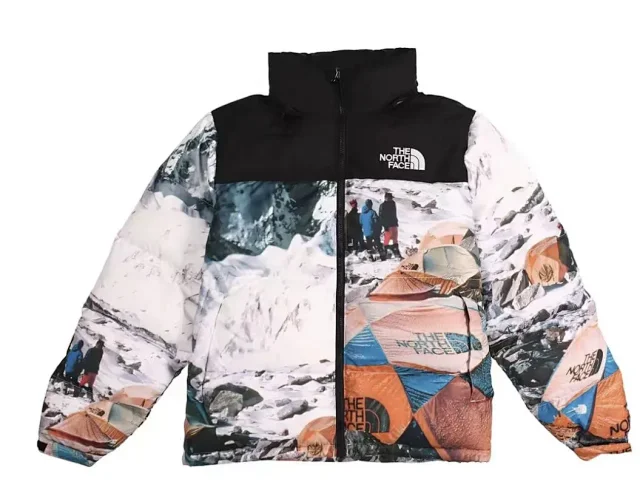 The North Face Down Jackets 1996 Nuptse product detail image 13