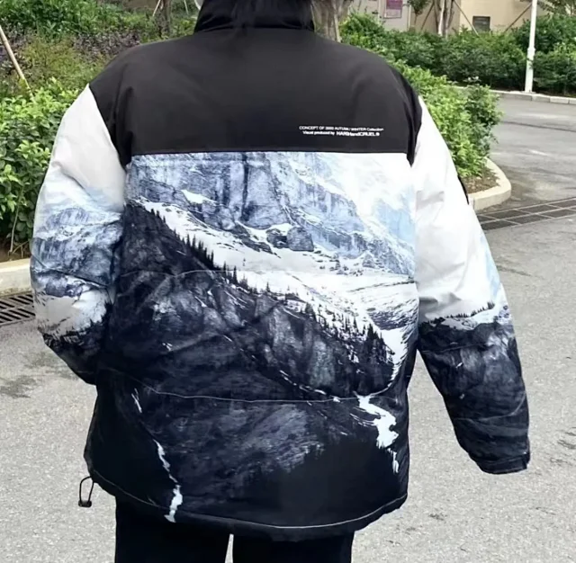 The North Face Down Jackets 1996 Nuptse product detail image 2