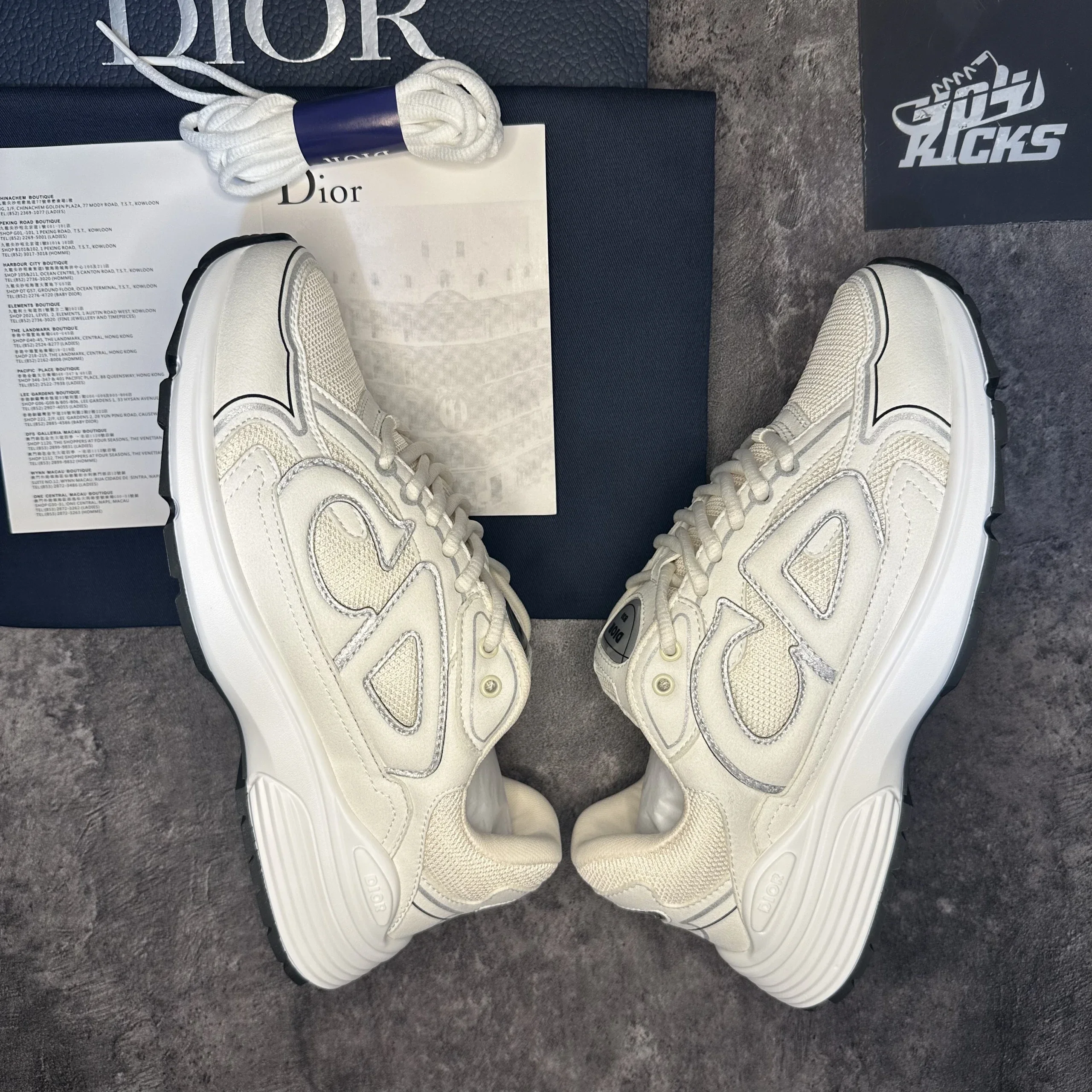 Dior B30 Retro Running Shoes