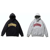 Stüssy Arch Logo Hoodie [2 styles]
