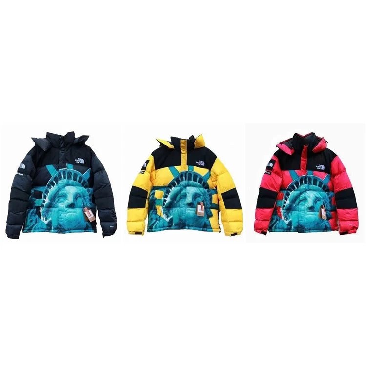 The North Face Statue of Liberty Print Jacket