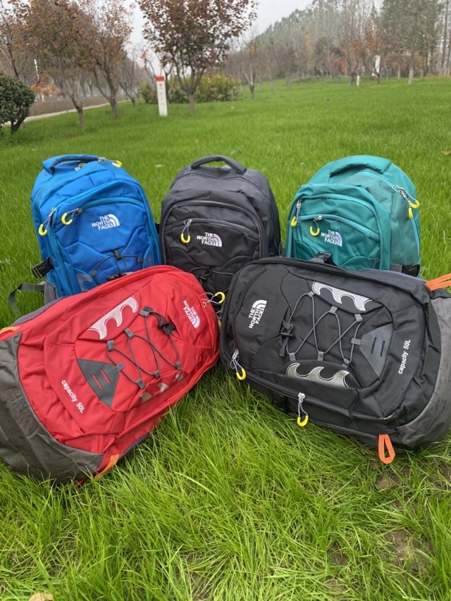 The North Face Backpack: seller detail photo 2