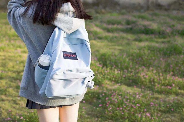 JansPort Backpack: seller detail photo 5
