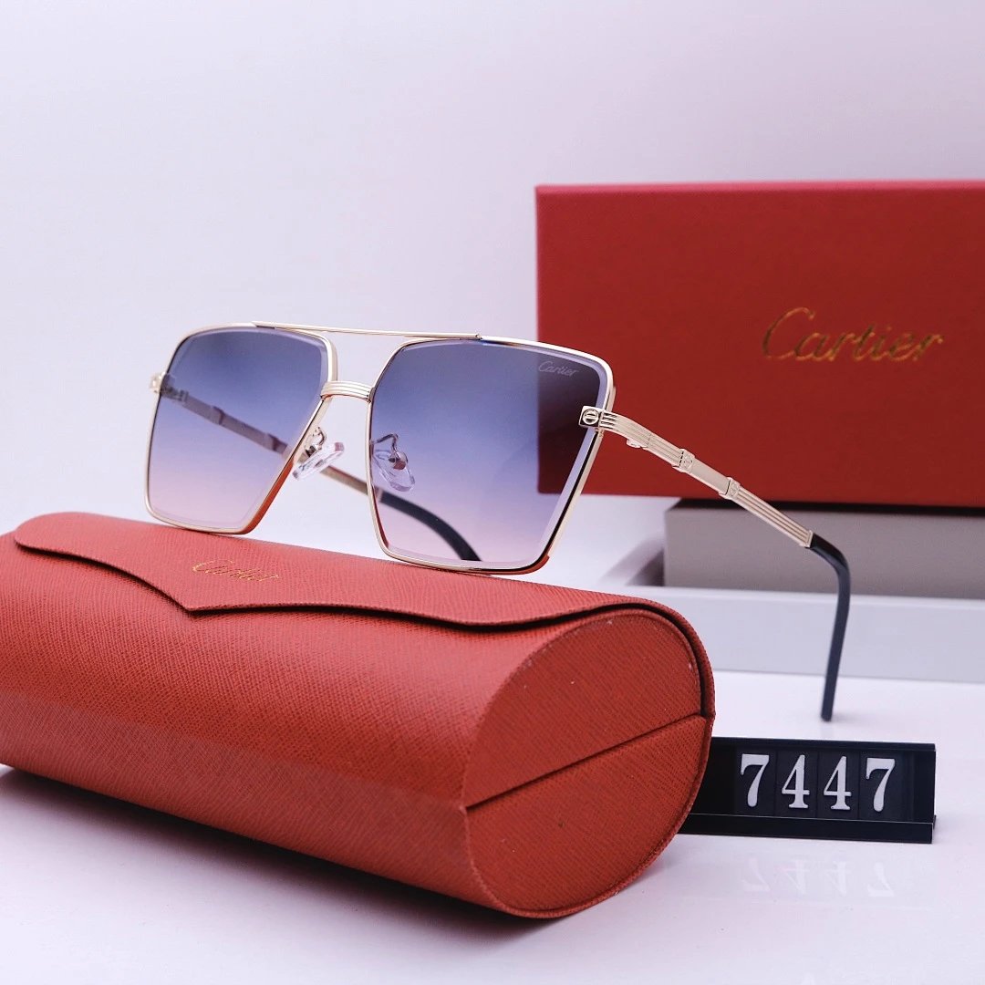 Cartier Tinted Lens Geometric Sunglasses, Polished Frame Style 02