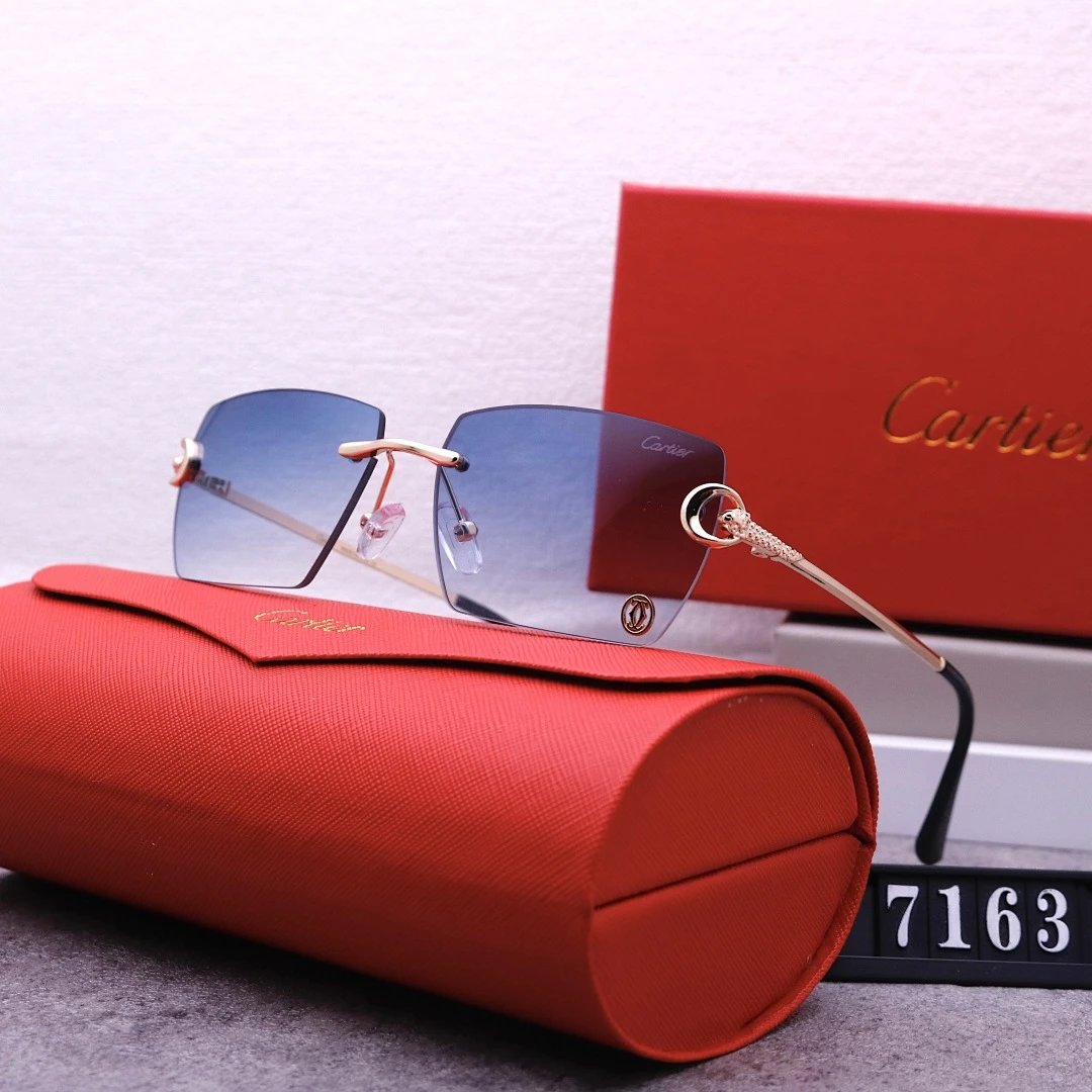 Cartier Tinted Lens Geometric Sunglasses, Polished Frame Style 02